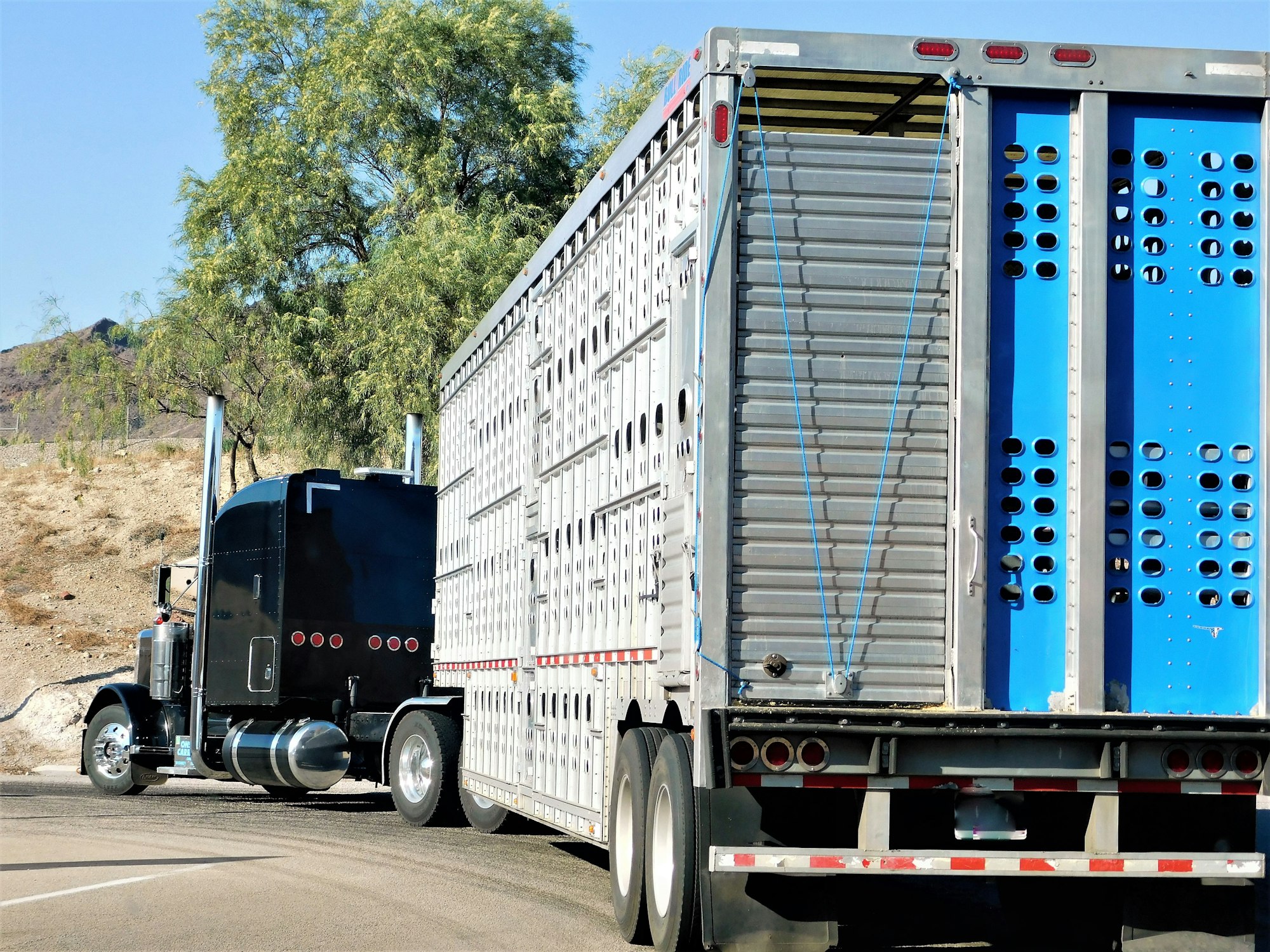 TRUCKING! CATTLE HAULER!!